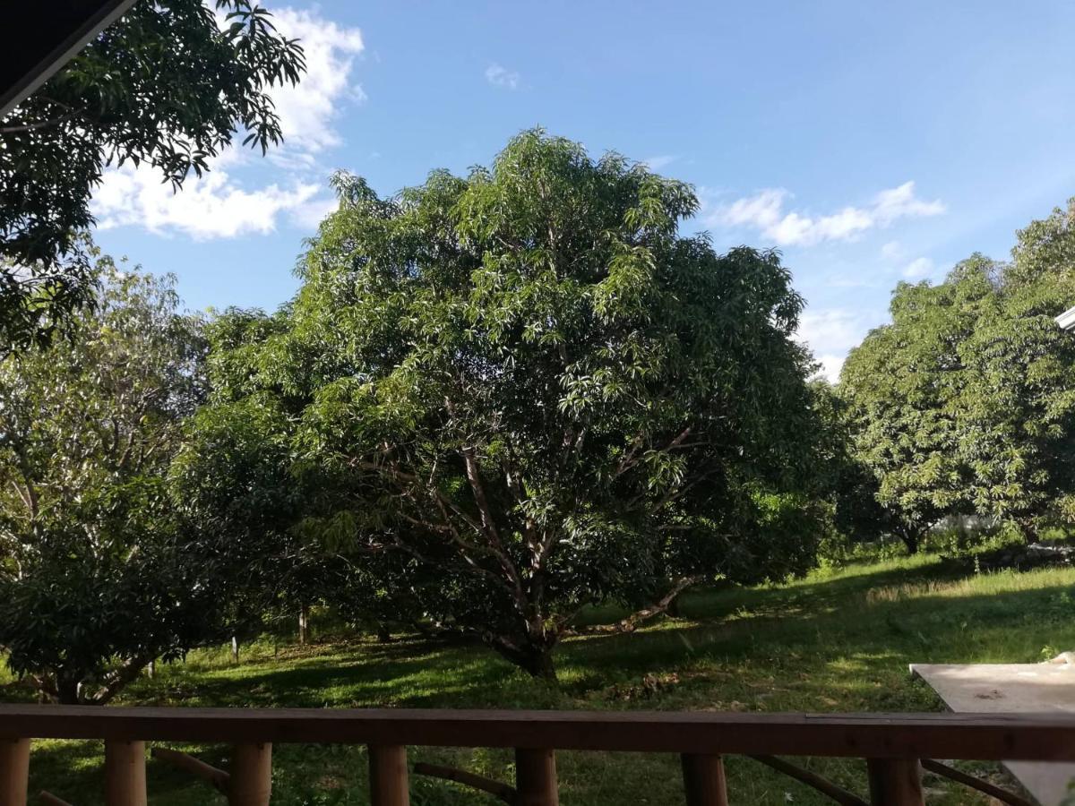 Balai Mariacaria Pension House Guindulman Zewnętrze zdjęcie